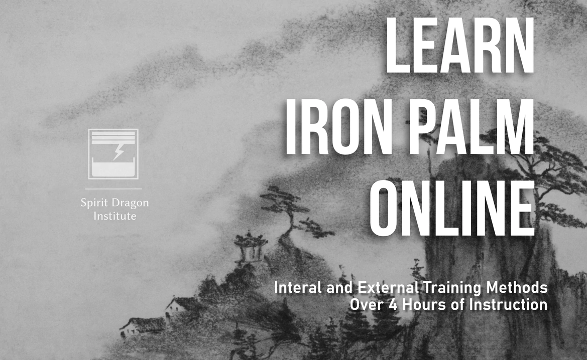 Online Iron Palm Course